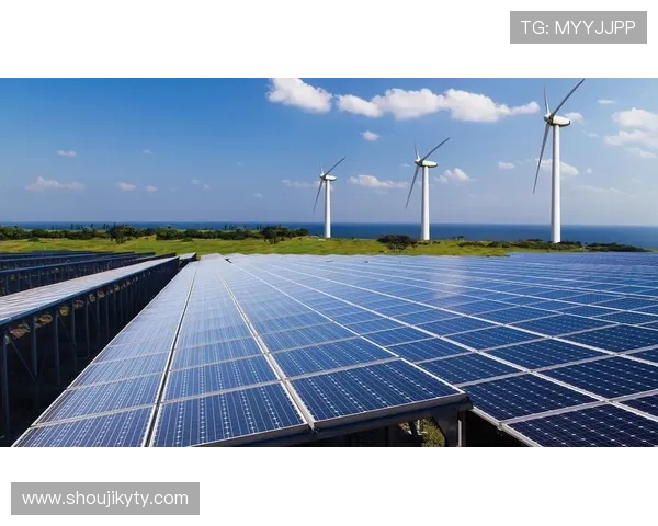 开云体育娱乐：未来体育娱乐市场的发展趋势与行业竞争格局分析