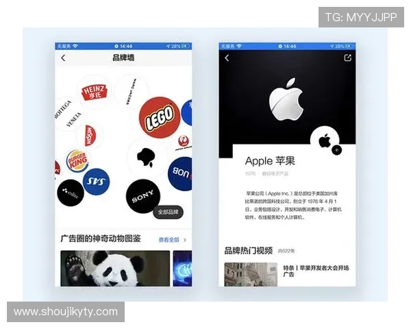 开云足球直播的用户体验：从界面设计到操作便捷性评估
