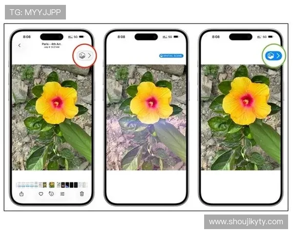 Kaiyun开云地址最新入口，确保玩家安全稳定登录体验全攻略