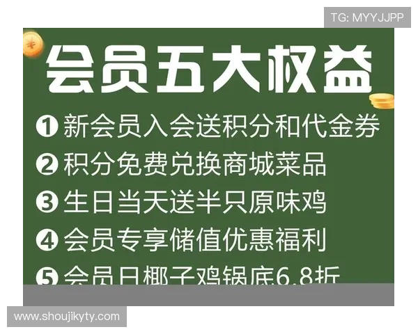 开云手机官网入口优惠详情介绍，了解最新促销方案和会员专属福利提升购物体验
