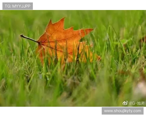 开运备用网址详细介绍多平台多版本的游戏入口让你随时随地畅享游戏乐趣